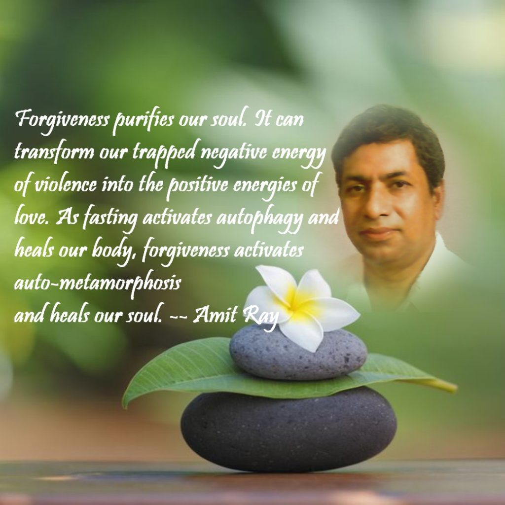 Forgiveness Purifies our Soul Amit Ray Quotes
