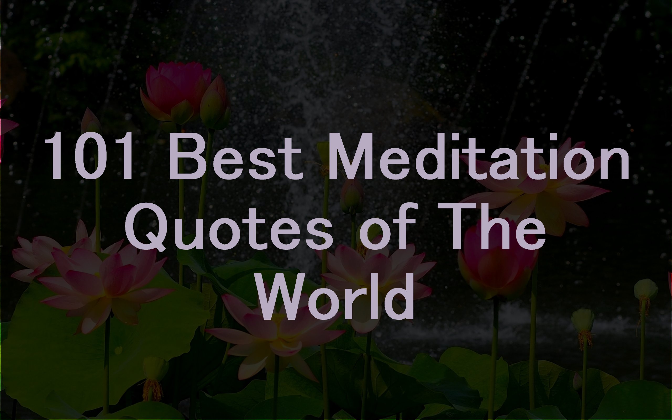 101 Best Meditation Quotes of The World