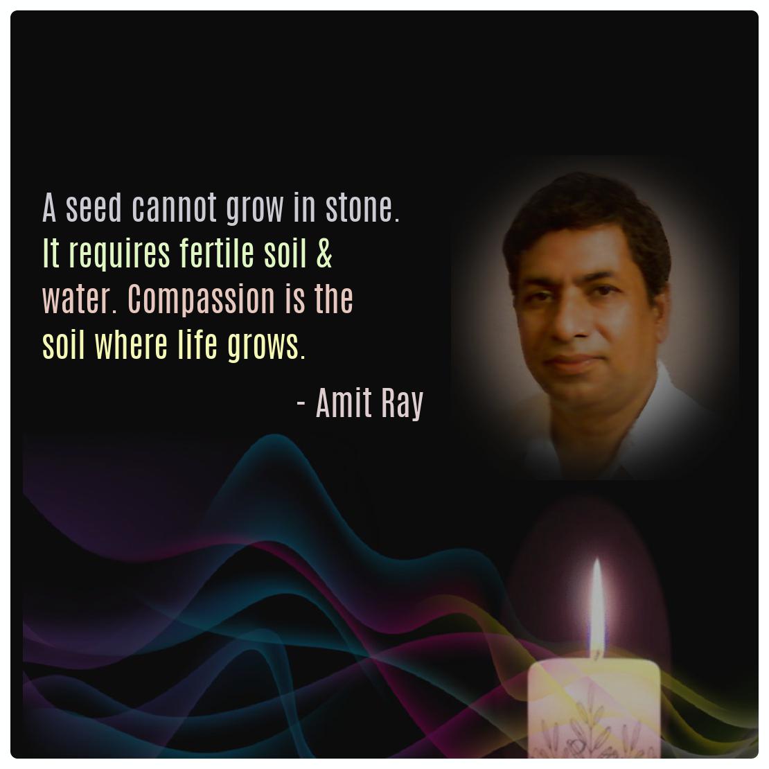 A seed cannot grow in stone. It requires fertile soil & water. Compassion is the soil where life grows. -- Amit Ray