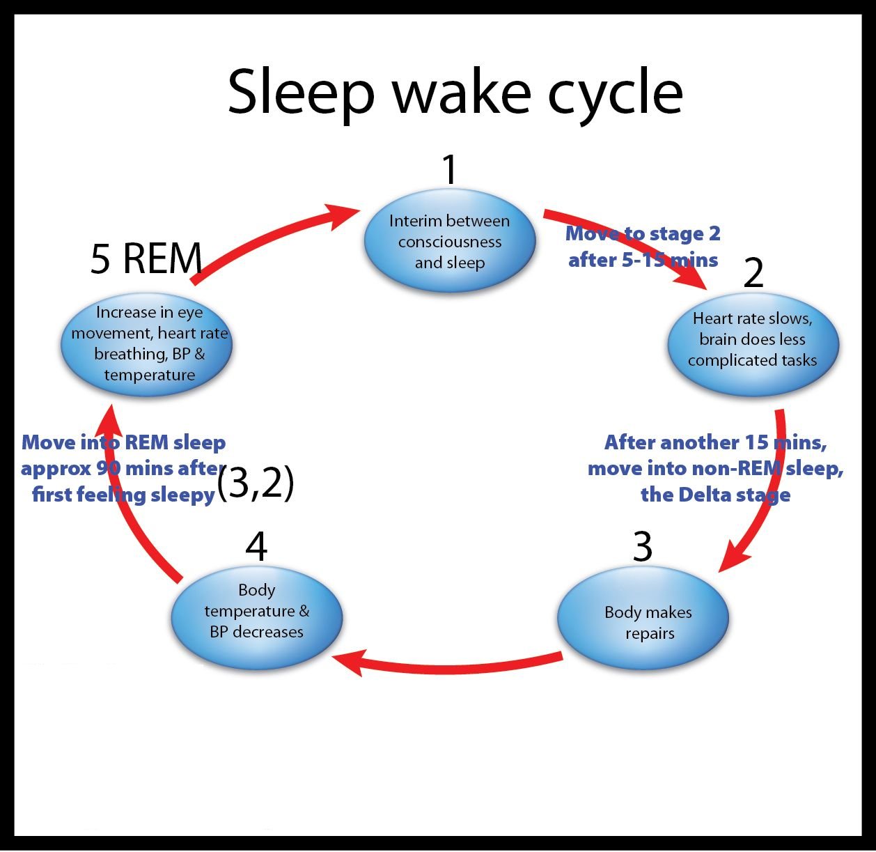 Sleep wake Cycle Manipulation For Depression And Anxiety Removal Good